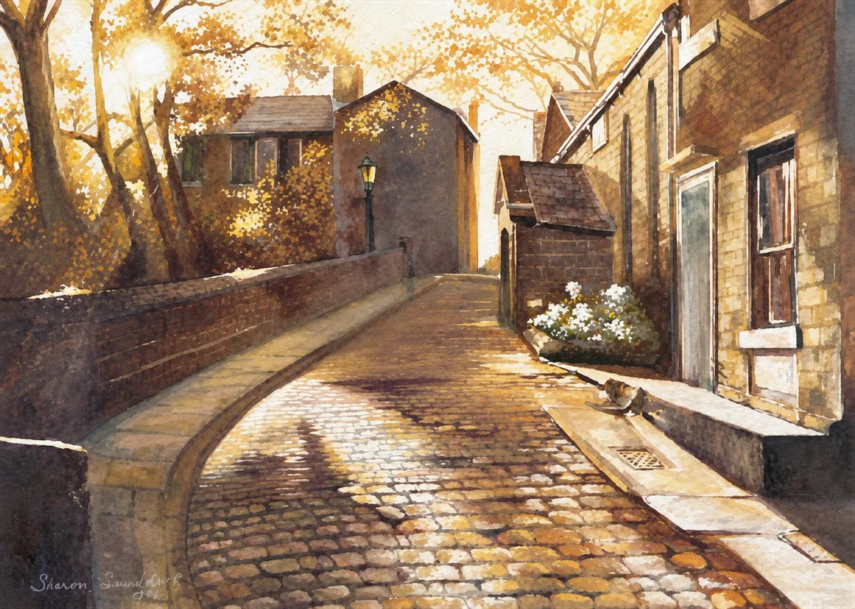 Sunlit cobblestone street.