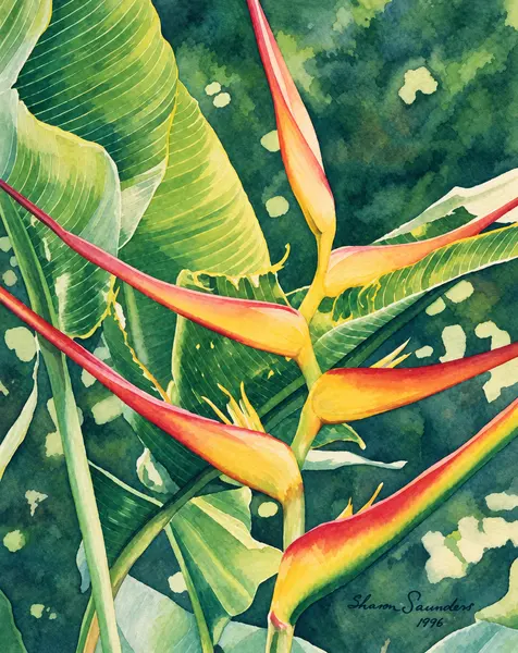 Heliconia flowers and foliage.